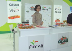 Ferva - Contacto: Lieven Bruneel