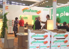 Plaform