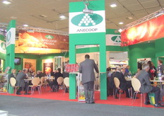 Anecoop - Contacto: Kirbeneva Marina