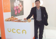 Veca Spanish Onions - Valencia Onion Packers Group