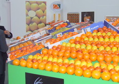 Consejo Regulador de Citricos Valencianos