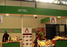 Actel