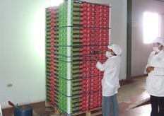 Armado de Pallets