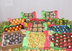 "Portafolio de Productos: "Physalis, Tamarillo, Granadilla, Pitahaya, Passion Fruit, Feijoa, Curuba, Maracuya"."