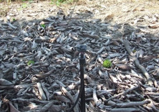 Sistema de microaspersión