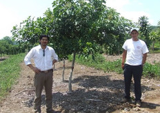 Luis J. de Paz, Gerente General de Lafinita con César Tovar, administrador finca Palestina