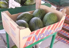 Melones de Valle de Upar