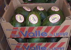 Empaques de 6 melones
