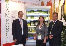 Gustavo Guerrero Paretto,Michael Horney - Camposol