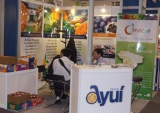 Nicolás Rabinovich - Citrus Sur