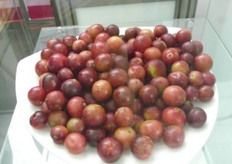 El camu-camu de muy alto contenido de vitamina C