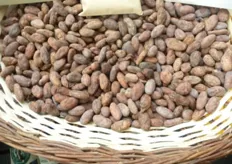 Cacao blanco de Piura, el más cotizado de todas las variedades