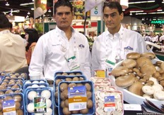 Guillermo Aceves Casillas - Monteblanco