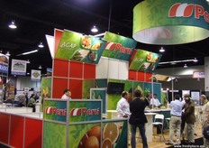 Exhibición del Perú