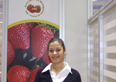 Associacao dos Morangueiros de Estiva-mg Contacto: Luis Gabriel