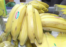 Abanorte Contacto: Dirceu Colares - Joge de Souza