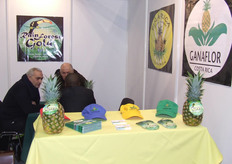 Ganaflor S.A, Contactos: Conrad White - Luis Rodríguez Beer