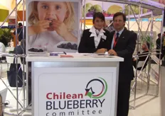 Chilean Bluberry Committe