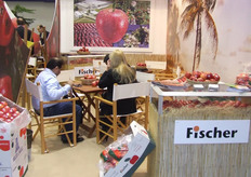 Fischer, Contacto: Paulo Concalves