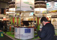 Posición de Guatemala internacionales