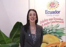 Ecuador Quality of origin