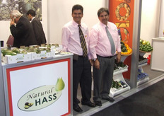 Natural HASS, Contacto: Bernardo E. Sánchez C. - Luis H. Becerra N.