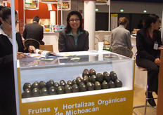 FRUTAS Y HORTALIZAS ORGANICAS DE MICHOACAN MEXICO, S.A. DE C.V. (FRHOMIMEX), Contacto: José Luís Tunguí Olivo