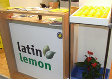 ARGENTI LEMON S.A., Contacto: Martina Delacroix
