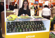 Apeam, Contacto: Alberto Ayala Aceves