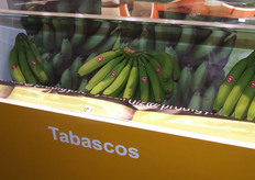 Tabascos