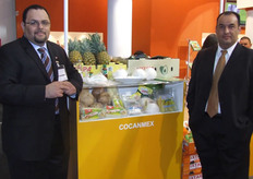 Cocanmex, S.A de C.V, Contacto: Héctor Martin