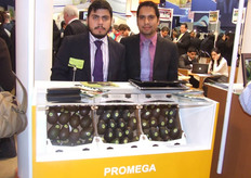 Promega, Contacto: Israel Gitan Ramírez