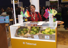 El Tabernal S.P.R.de R.I. Manguiximo, Contacto: Oliva Ruiz Fuentes - Roberto Nivón Delgado