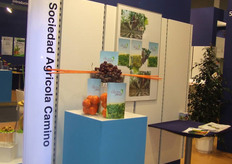 Sociedad Agricola Camino,