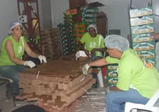 Inter Fruit, Armando las cajas para empacar las papayas