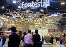 Stand Fontestad