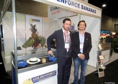 Golden Force Bananas de Ecuador