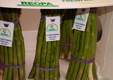 Espárragos de REOPA