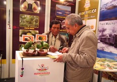 Productor de palta (aguacate) explicando sobre su oferta a un asistente a la feria.