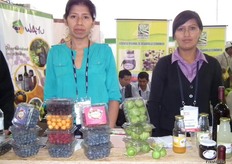 Productoras de berries y physalis del Perú