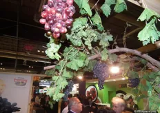 Uvas auténticas colgando del stand de Frutas Torero.