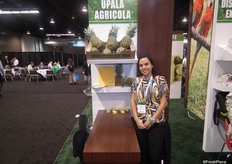 Upala Agricola, directora de logística de Upala Agricola, exportadores de piñas de Costa Rica.