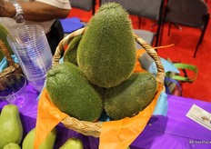 Exóticos de Agrocosco.