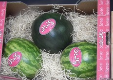 Brio Fruits también comercializa sandías durante la campaña de verano