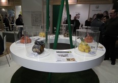 Mayas expuestas en el stand del Grupo Giró, especialista en este tipo de envase.