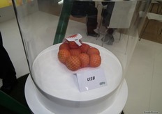 Maya USB especial para cítricos del Grupo Giró. Grupo Giró fue la primera empresa en crear el envase tipo malla.