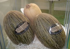 Melones Piel de Sapo y calabaza expuestos en el stand de Agrollanos.