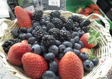 La cesta de Plus Berries