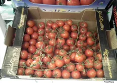 Tomates cherry en rama de Agroponiente
