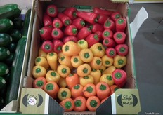 Mini Pimientos bite de Agro Red&Green.